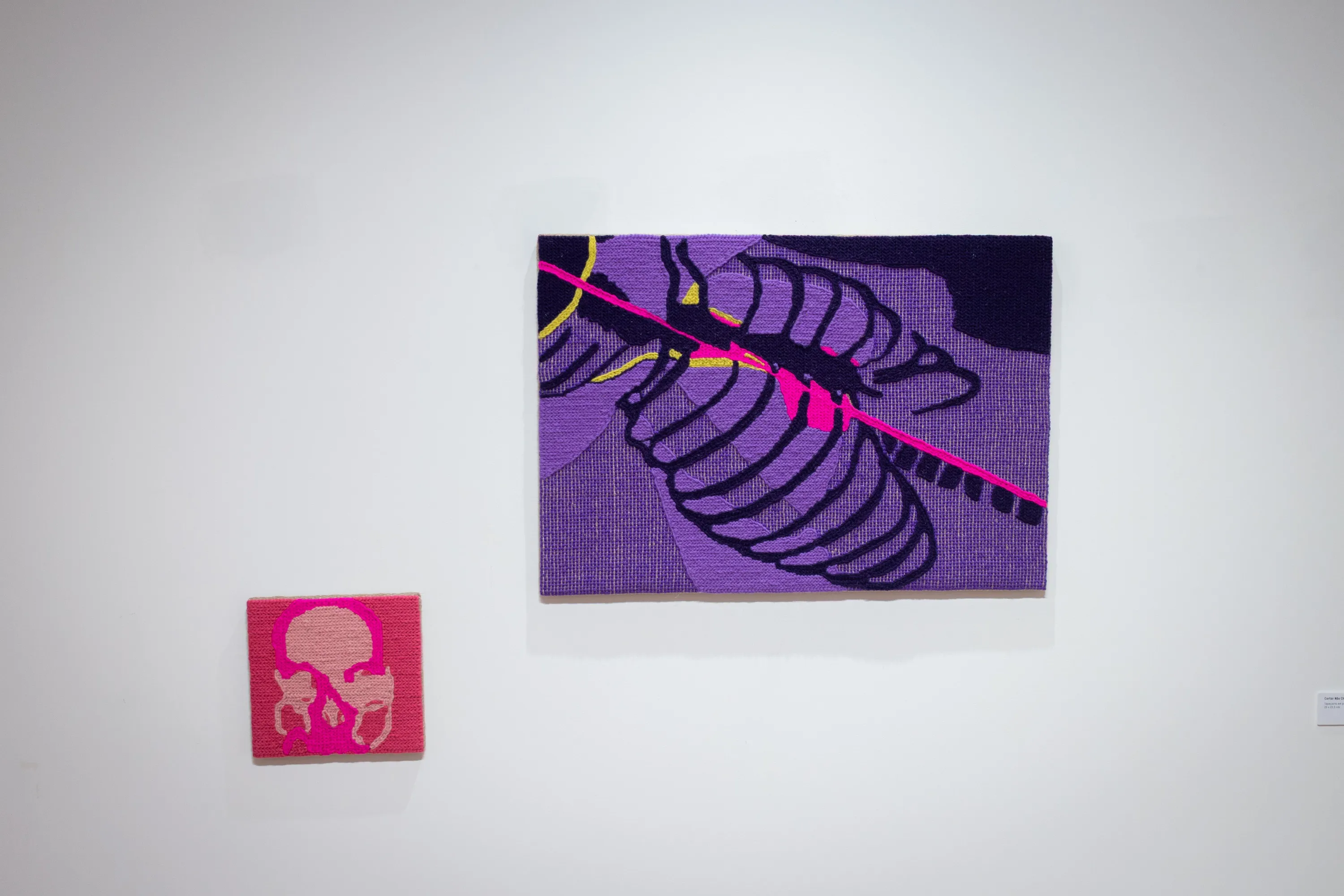 CTONIA by Susana Cereja — view 2